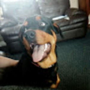 Meet your Posher, Ty